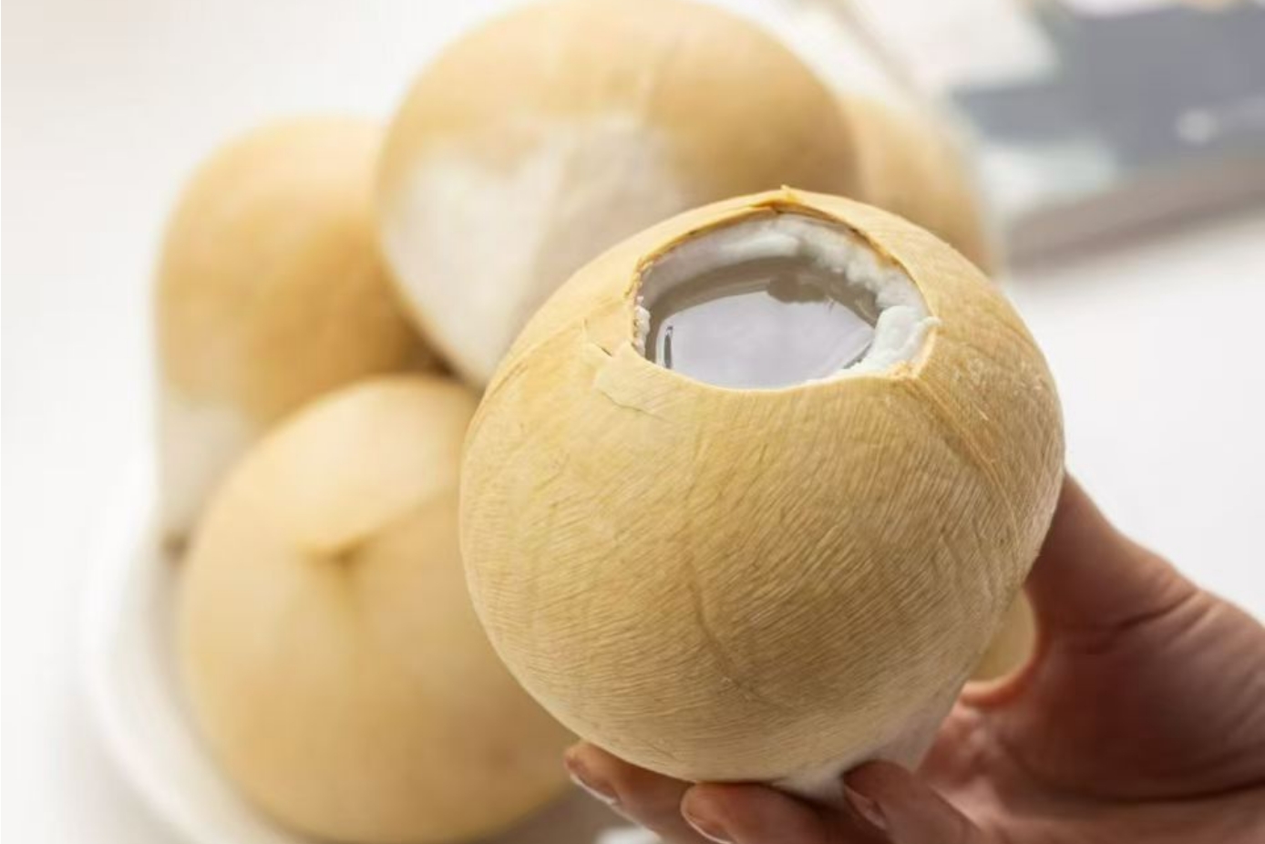 椰子进口实际案例:椰子生意避坑指南 椰子进口实际案例:椰子生意避坑指南