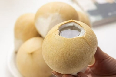 进出口报关-服务范围-椰子进口